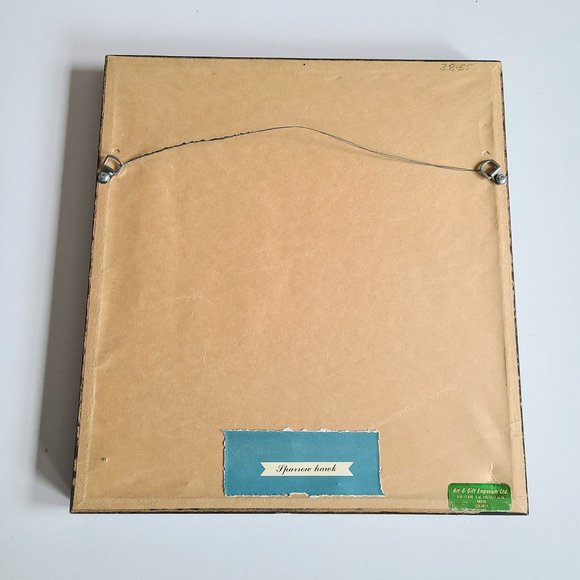 Vintage framed picture of bird. Sparrow Hawk. - Picture 5 of 6